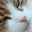 Photo de profil de Lebigre