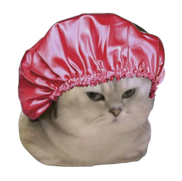 :Chatbrushingdouche: