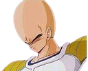 :Vegeta_norwood: