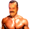 :risitas_go_muscu: