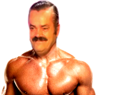 :risitas_go_muscu: