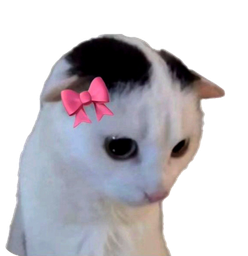 :Demichouette: