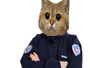 :sodium_gilbert3: