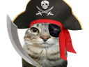 :CS_Pirate: