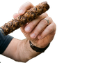 :cigananas: