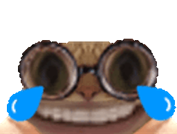 :chat_lunette_rire_gif: