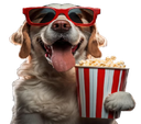 :chien_cinema: