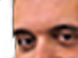 :Philippot_vaccin: