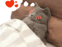 :Chadorlov: