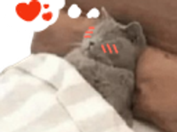 :Chadorlov: