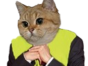 :chat_gj2: