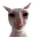 :Bingus: