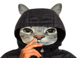 :CS_Fume: