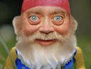 :Gnome_rire: