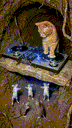 :cat_danse:
