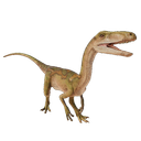 :Segisaurus:
