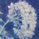 Faible-