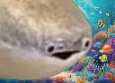:poissonsousleau: