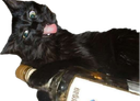 :Chat_Marlou_tse_mort: