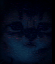 :chaton_schizo: