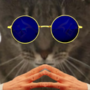 :Chat_not_ready_marley: