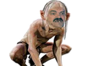 :risigollum: