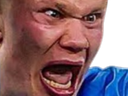 :haalandfou3: