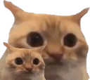 :chat_limite_x2: