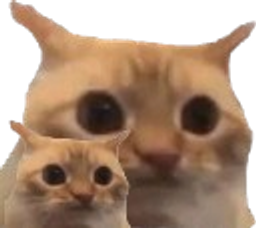:chat_limite_x2:
