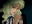 Photo de profil de Annabeau