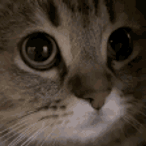 Me0w