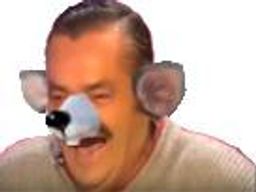 :rat_comique: