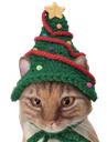:chat_bonnet_noel: