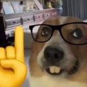 uwusilly
