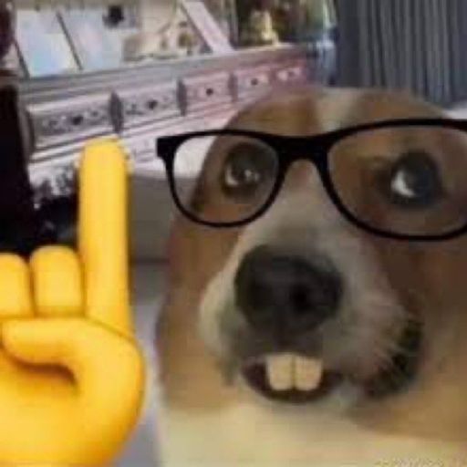 uwusilly