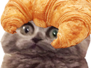 :chroissant: