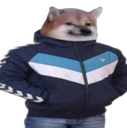 :Raptor_irl:
