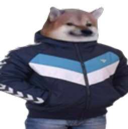 :Raptor_irl: