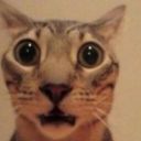 Lifelike2
