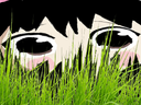 :Wayo_zoom: