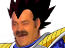 :vegeta_rit: