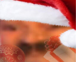 :2loin_noel4: