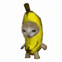 :crybananacat: