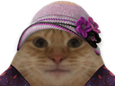 :Chatfleurs: