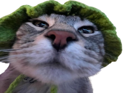 :CS_Quoi: