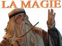:dumbledore_magie: