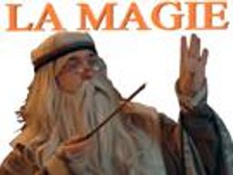 :dumbledore_magie: