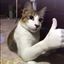 Photo de profil de yahoo