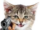:silly_cat_gun: