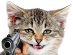 :silly_cat_gun: